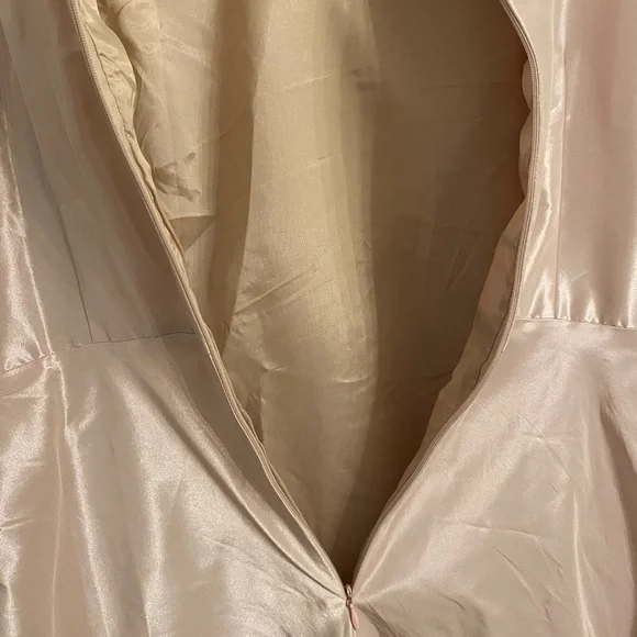 Terry Jon Sleeveless Side Drape Ruffle Gown - Picture 7 of 15